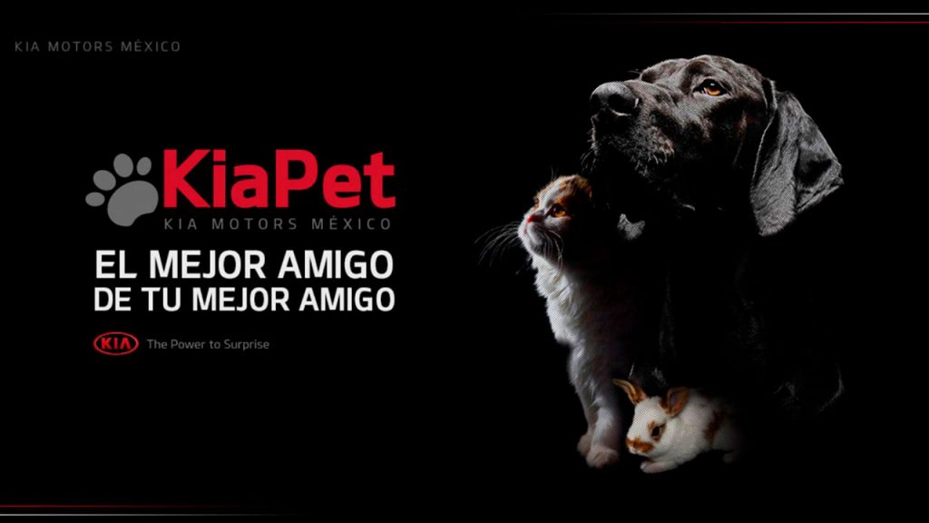 KIA PET: el mejor amigo de tu mascota
