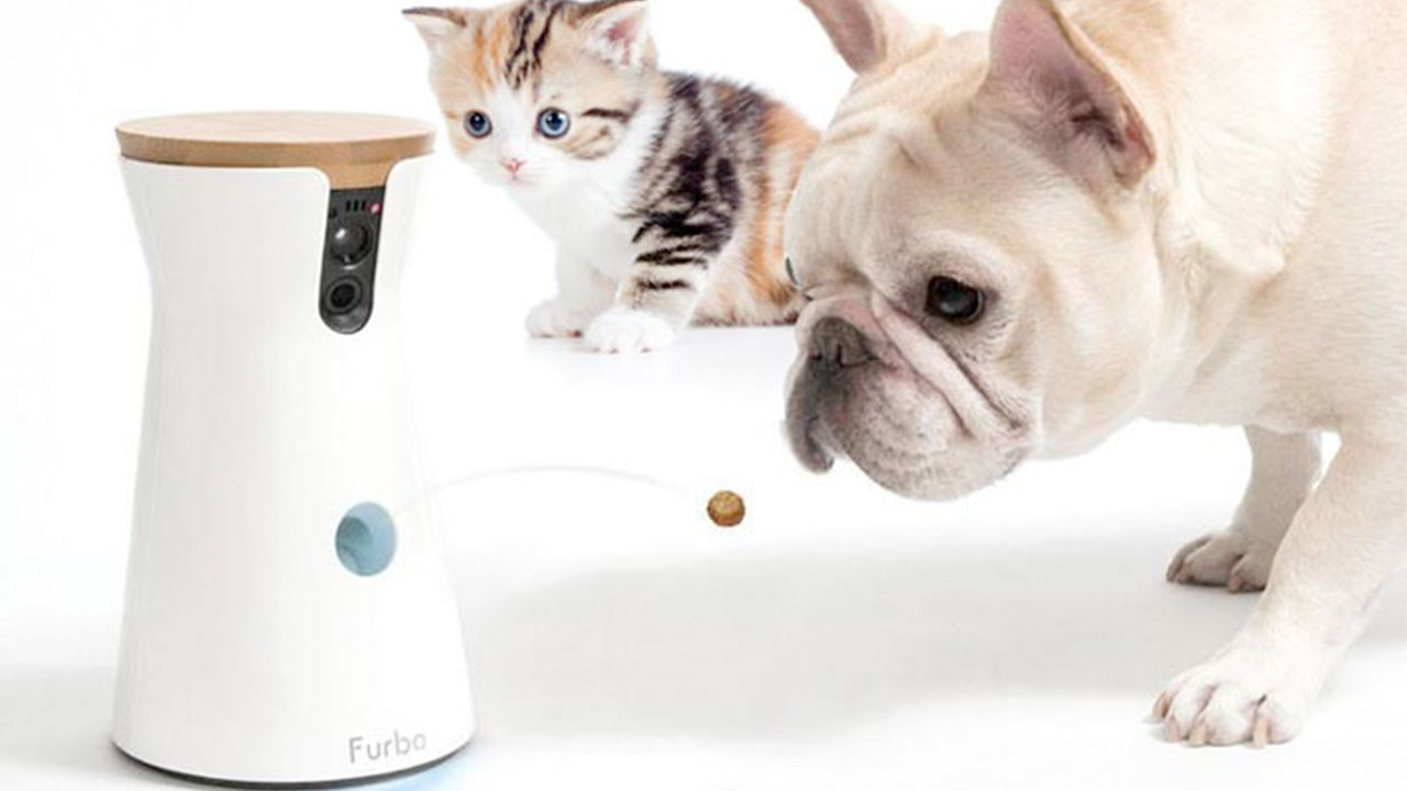 Smart Feeder para mascotas