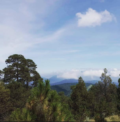 Áreas naturales en CDMX