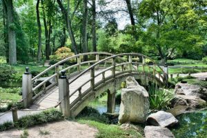 Áreas naturales en CDMX para una escapada de fin de semana