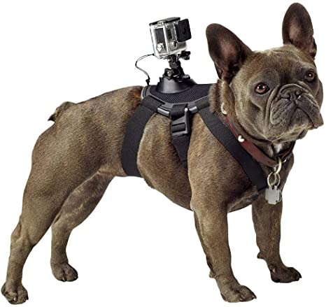 accesorio para GoPro